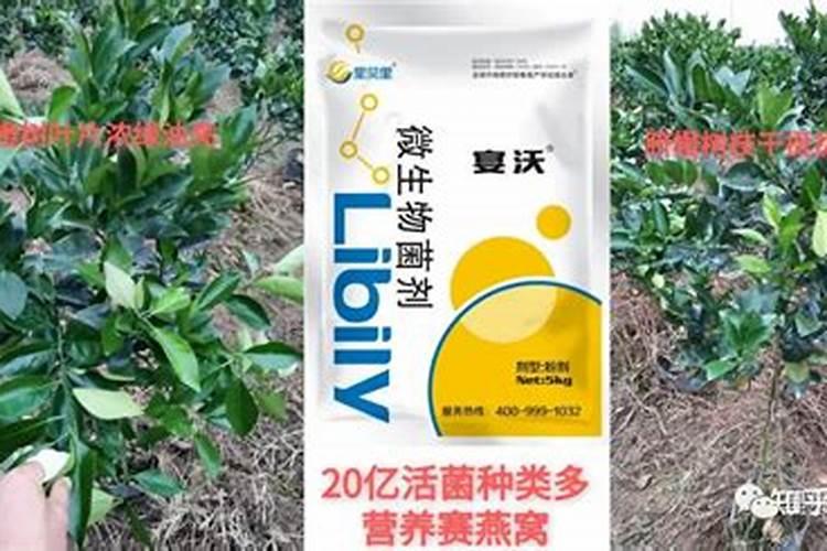 水溶肥在果树上几天能吸收
