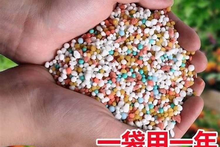 盆栽施肥怎么选择？控释肥、缓释肥、复合肥有何不同？