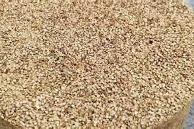 杜鹃花施肥用炒芝麻行吗？