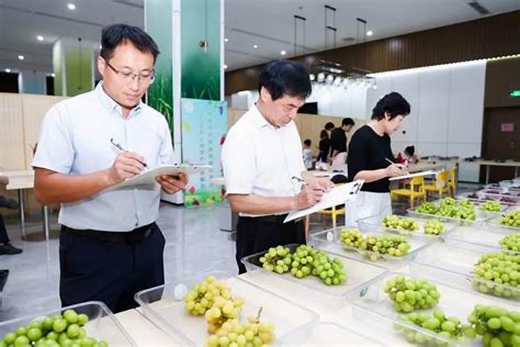 奥绿肥适合哪些植物？