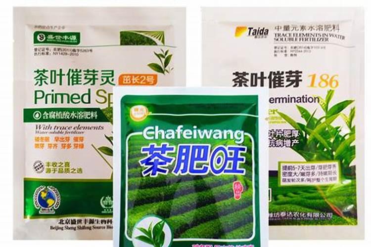 茶叶叶面肥催芽肥的正确使用