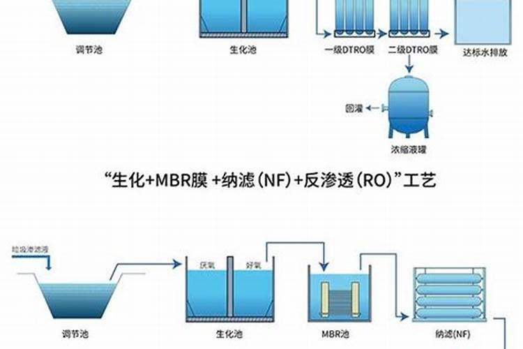 怎样快速降解水中的氨氮