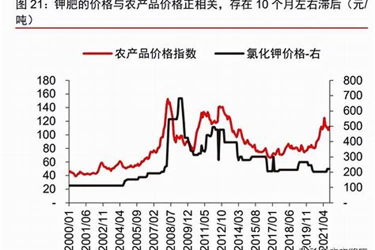 芸豆怎么施肥,芸豆施肥注意事项