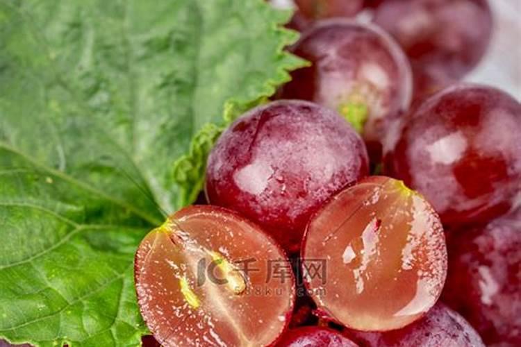 葡萄用什么肥料