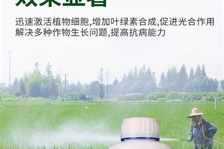 水溶肥叶面喷雾怎么计算
