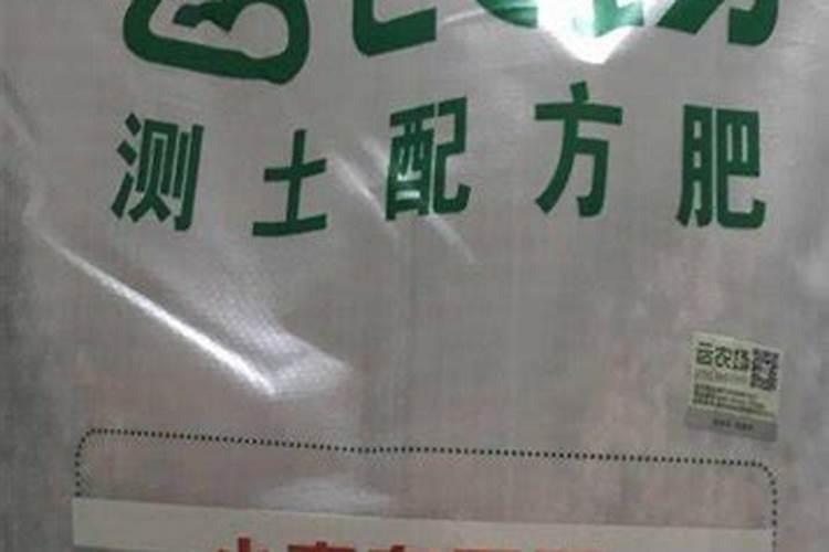 满天星施肥用什么肥