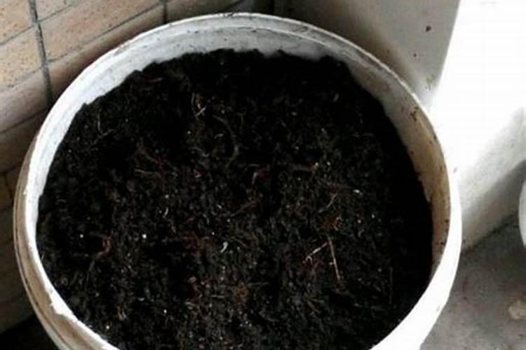 种菜用什么有机肥料最好