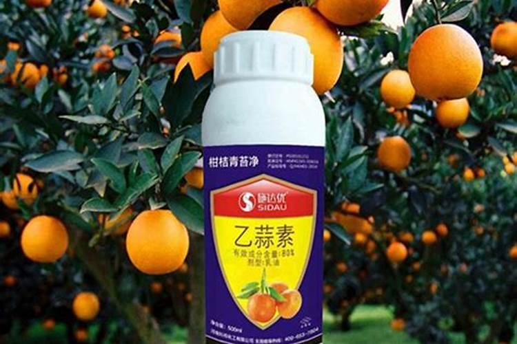 苹果套袋后打什么药