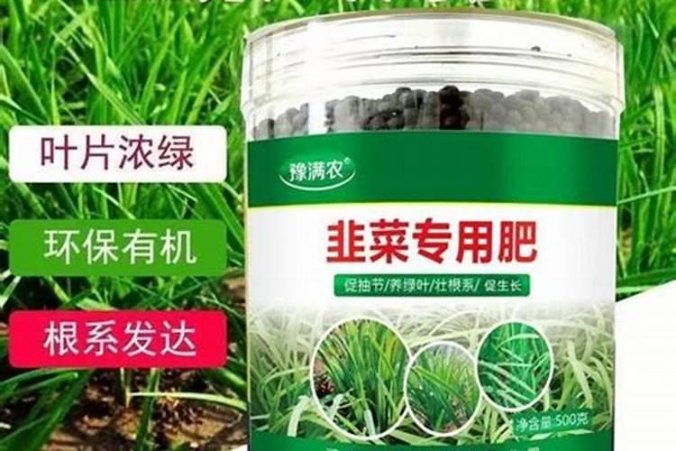 番茄苗顶端块状黄化怎么办？