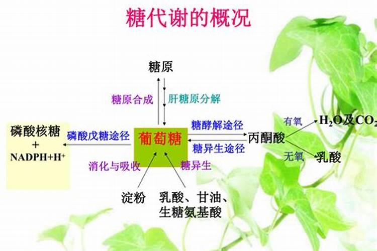 豆饼肥属于氮肥还是磷钾肥