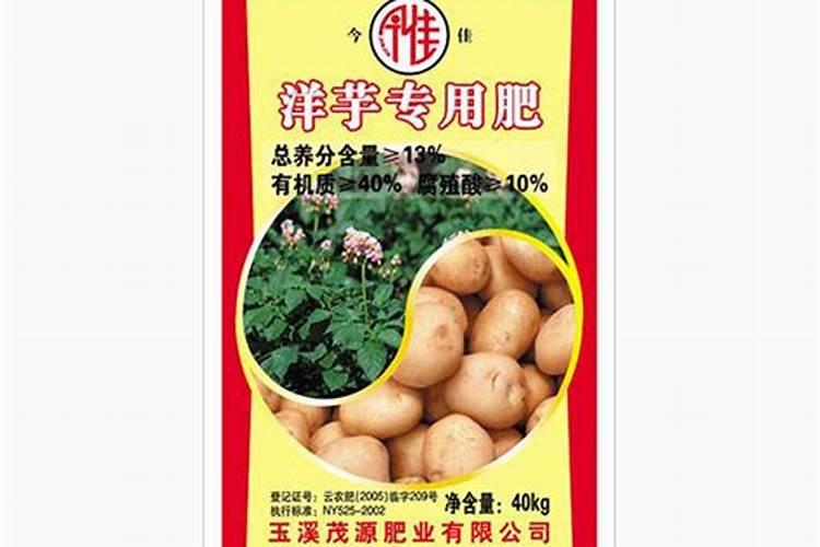 洋芋,魔芋和土豆有什么区别？