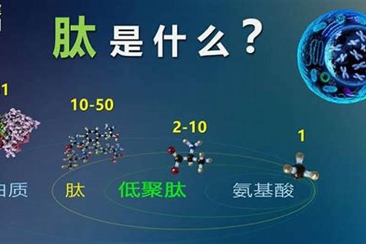 多肽氮肥与多肽尿素的区别