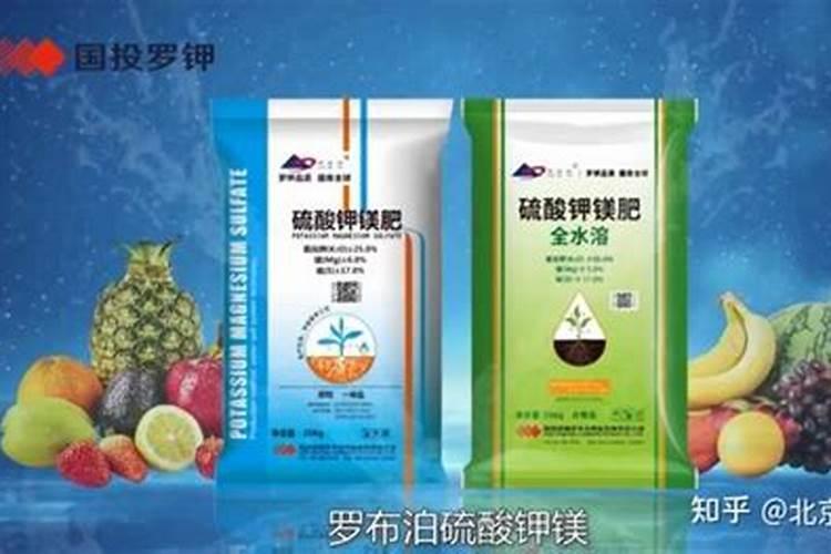 长寿花施什么肥最好花卉百科