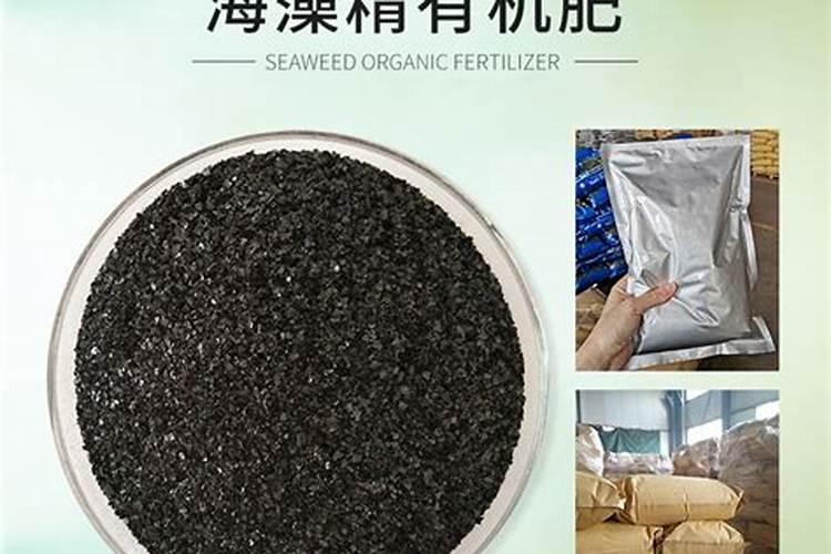 山东恩宝肥料靠谱吗