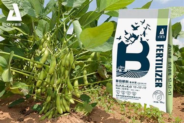 叶面肥磷酸二氢钾使用方法