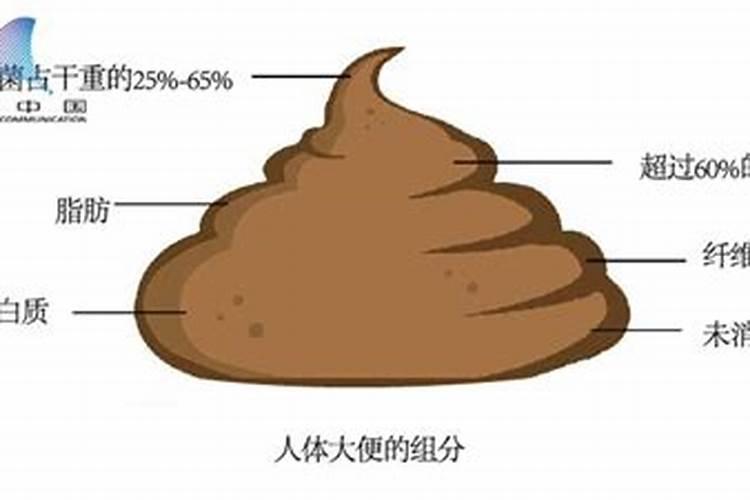 人屎有些什么营养成份？
