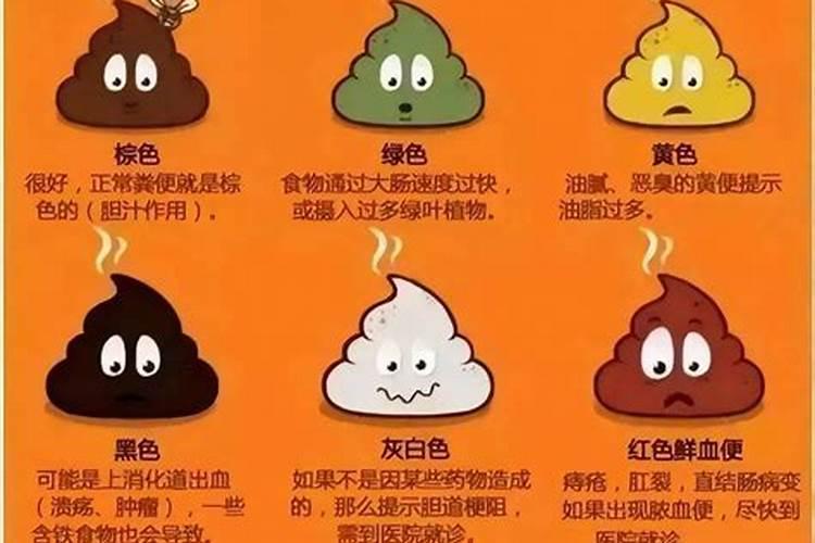 人粪便的成分是什么