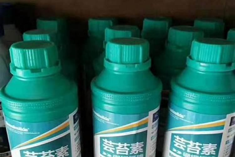 大、中、微量元素的区别