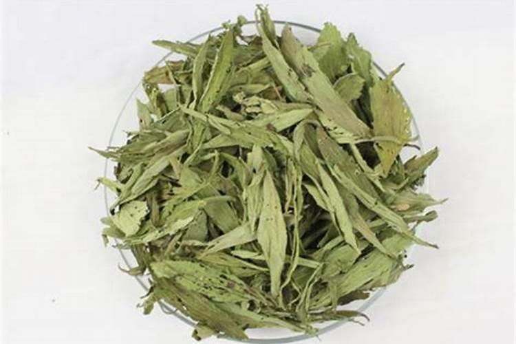 枣树用什么肥料好