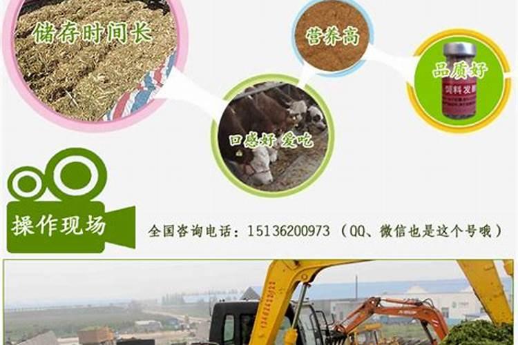 小麦秸秆有什么用途