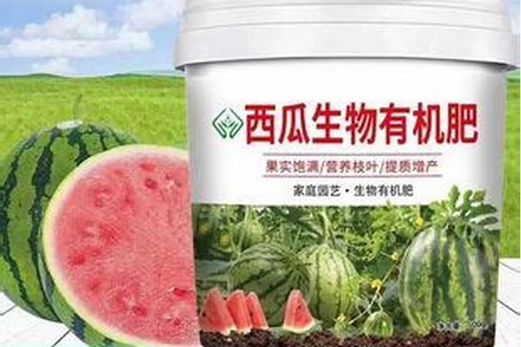 西瓜种植一亩地需要投入多少钱