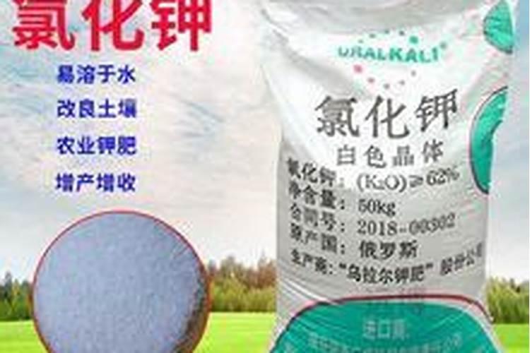 钾肥的作用及功能是什么