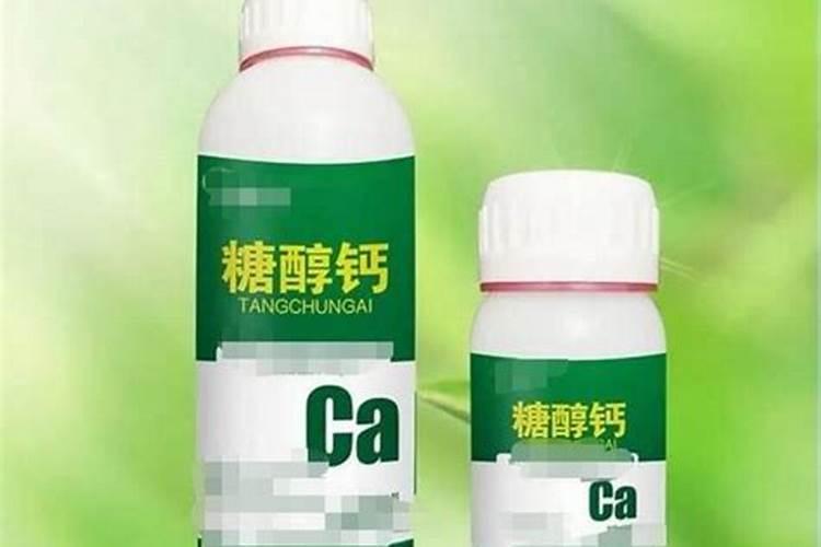 柑橘果树补钙的最佳时期是什么时候？该如何进行补钙？