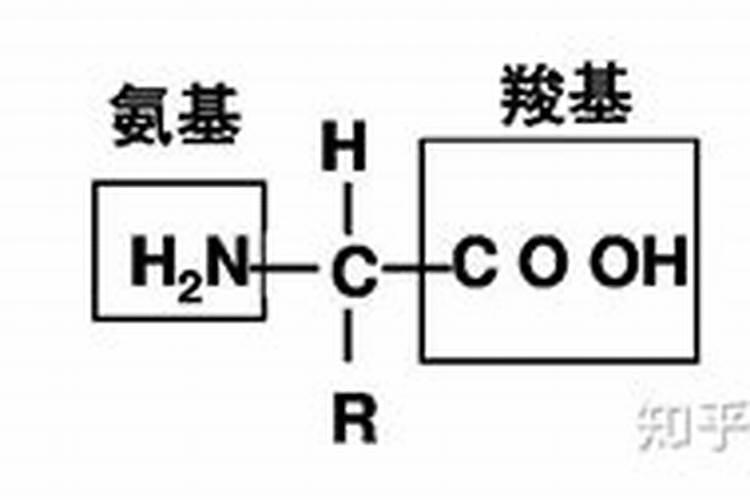 月季通常几天浇水一次