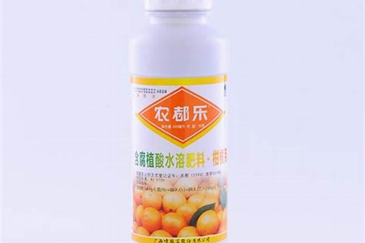 月季花的地栽养殖方法