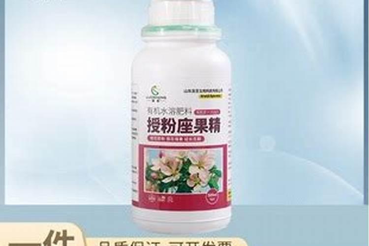 油茶开花时期应该喷何种叶面肥？