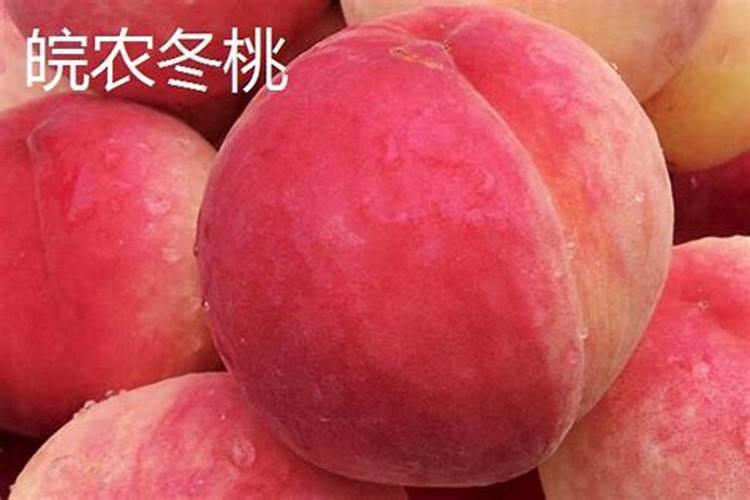 水仙花的散文,500字的!