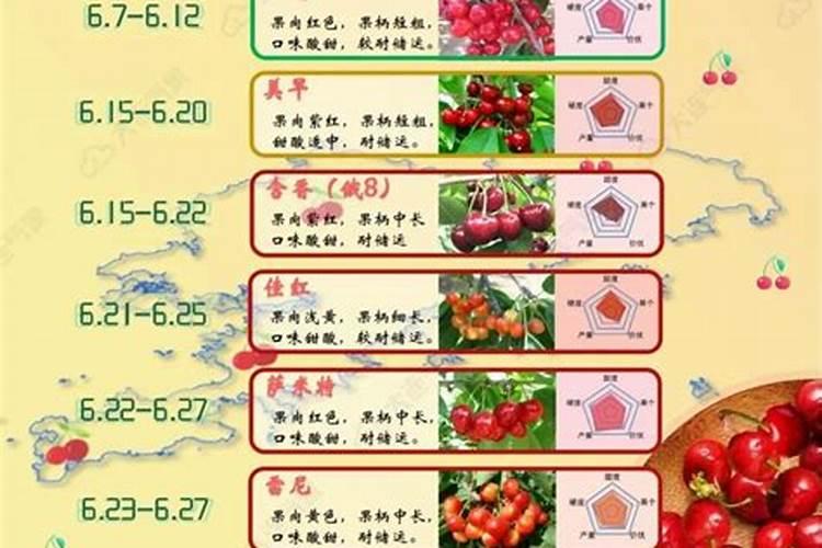 牡丹用什么肥料长得好