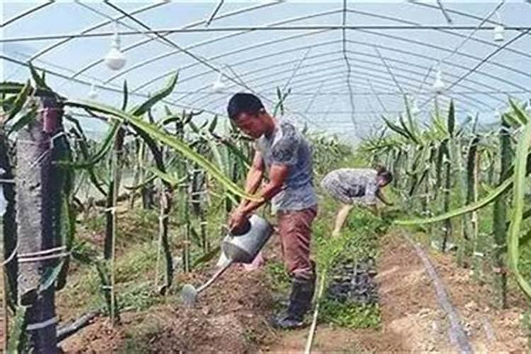 农资化肥批发网哪个平台好