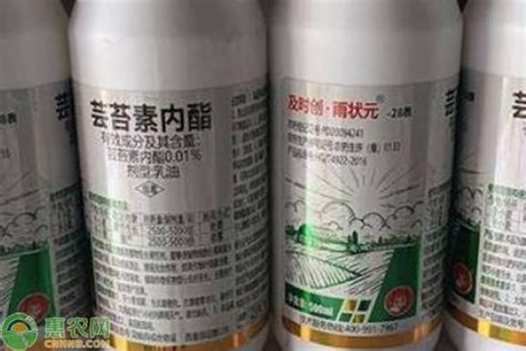 西红柿施什么肥最好 西红柿施什么肥