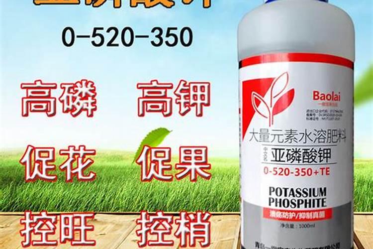 水梅花用什么肥料最好最旺