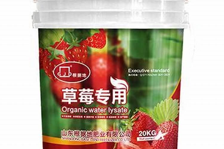 草莓施肥用什么肥料