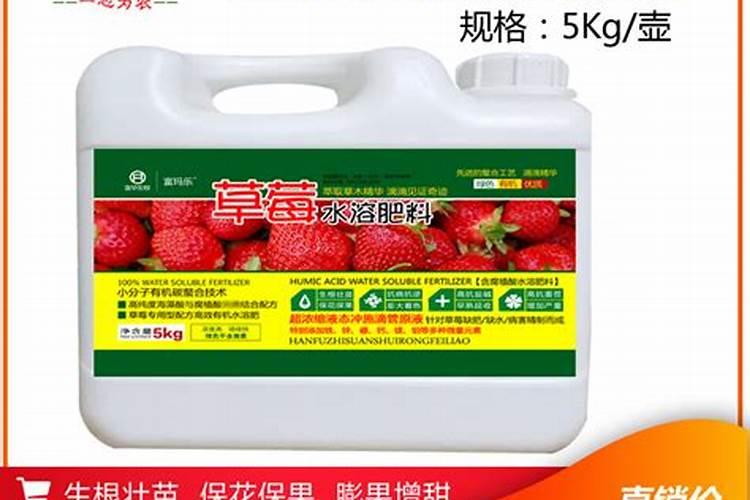 一盆草莓需要用多少硫酸亚铁肥料？