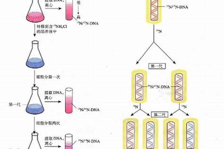 钾肥对植物的作用与功效 钾肥有哪些种类