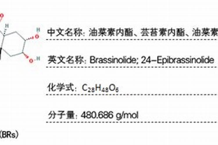 玉米控旺药能和芸苔素一块打吗