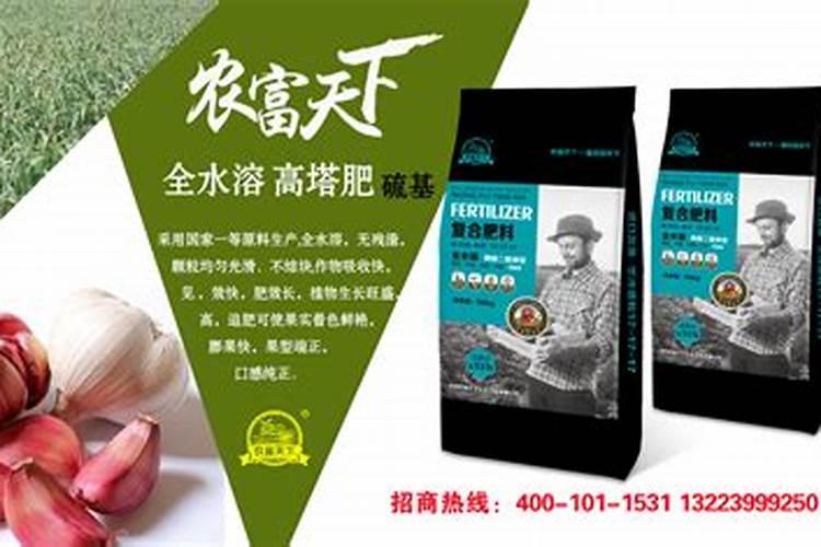 种大蒜用什么肥料最好