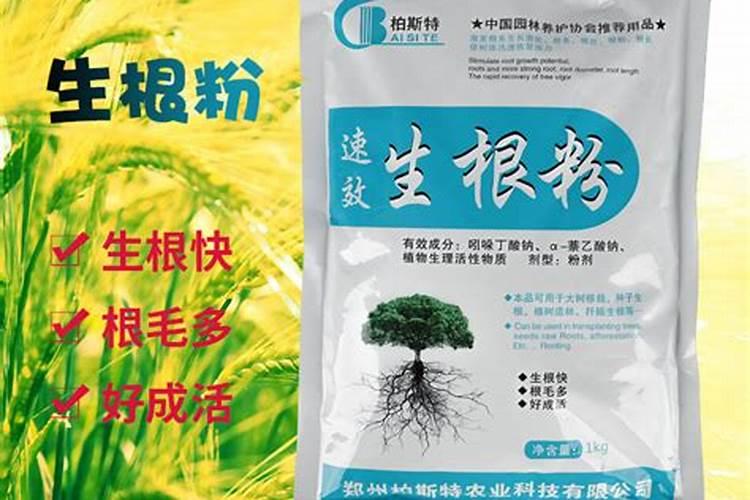 生根粉可以浇土里吗