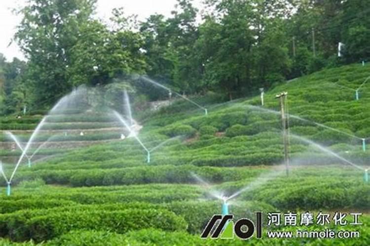 水溶肥使用时注意事项、方法与用量？