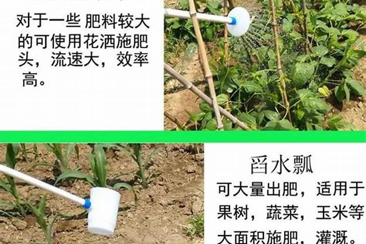 水溶肥的使用方法和注意事项 水溶肥有哪些