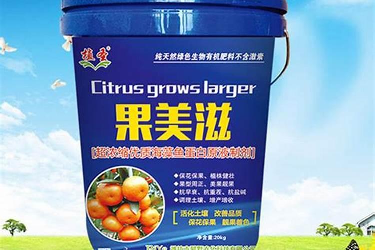 早熟禾草坪什么时候施肥