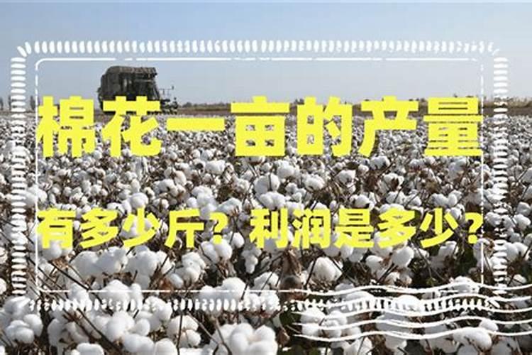 莲雾花期打什么农药