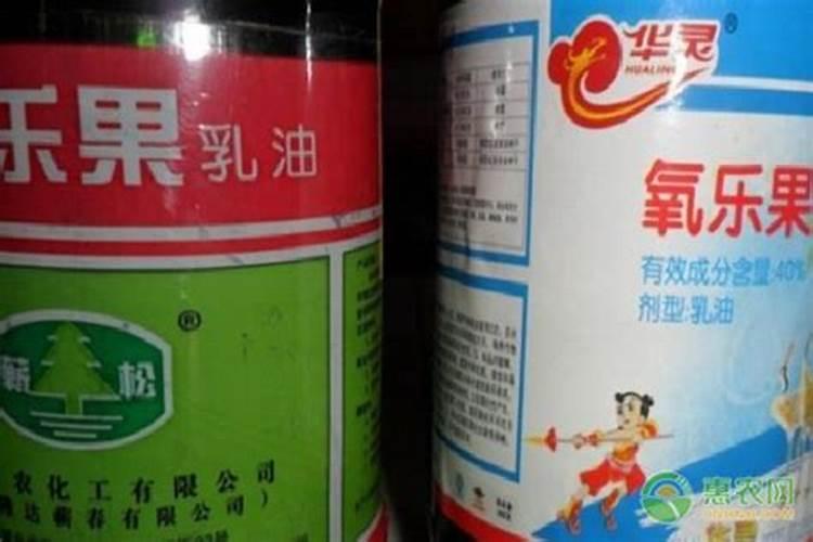 莲雾种植的控梢很关键,莲雾种植的控梢技术有哪些？