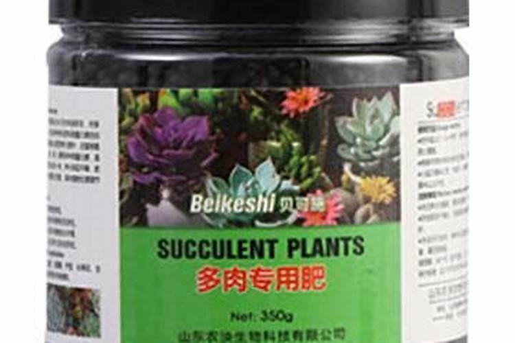 多肉用什么肥料