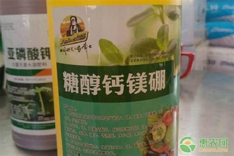 桃树施肥的话,基本上应该施什么肥呢？