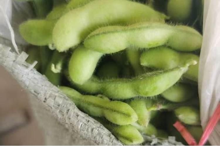 栖霞有机液化天然气一吨多少钱