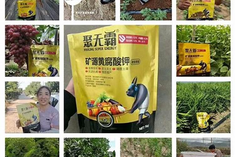 用泥土 椰砖 营养土河沙混在一起可以养花种菜吗？